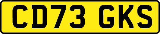 CD73GKS
