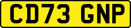 CD73GNP