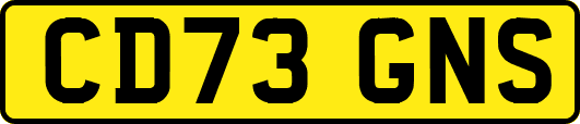 CD73GNS