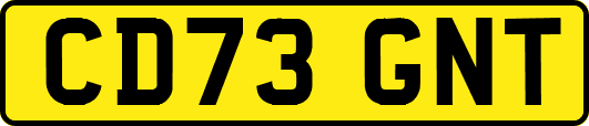CD73GNT