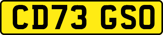 CD73GSO