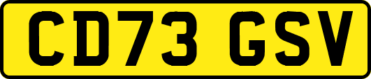 CD73GSV