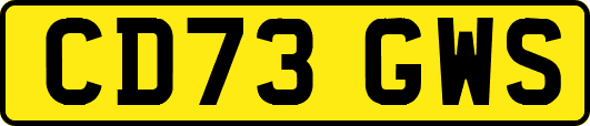 CD73GWS