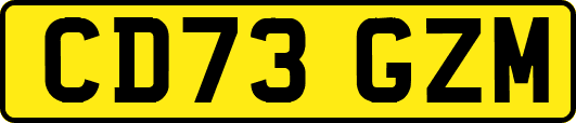 CD73GZM