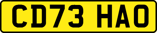 CD73HAO