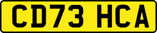 CD73HCA