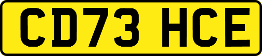 CD73HCE