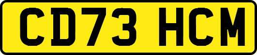 CD73HCM