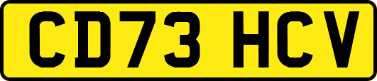 CD73HCV