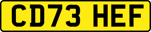 CD73HEF