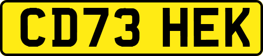 CD73HEK