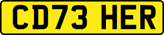 CD73HER