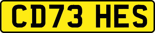 CD73HES