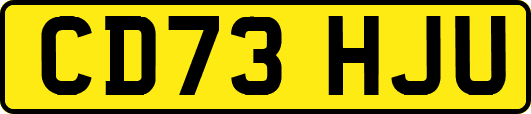 CD73HJU