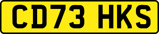 CD73HKS
