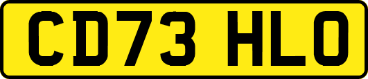CD73HLO