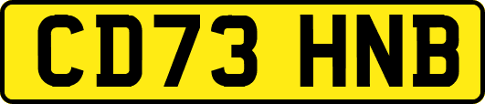 CD73HNB