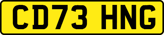 CD73HNG
