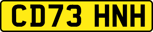 CD73HNH