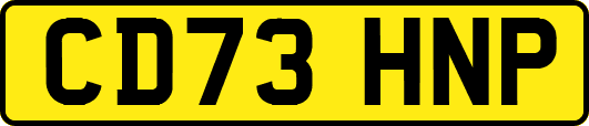 CD73HNP