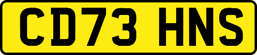 CD73HNS