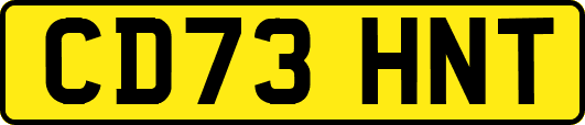 CD73HNT