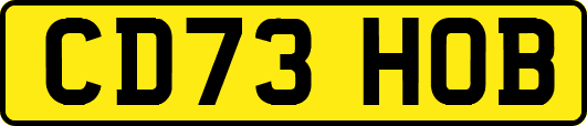 CD73HOB