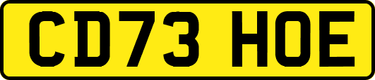 CD73HOE