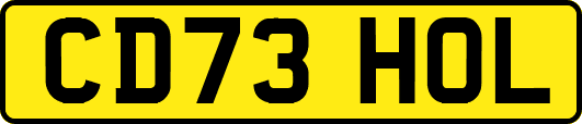 CD73HOL