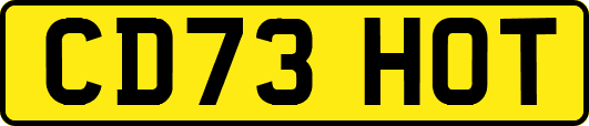 CD73HOT