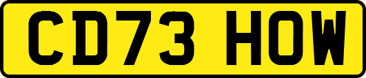 CD73HOW