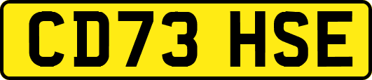 CD73HSE