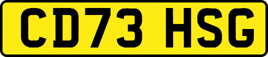 CD73HSG