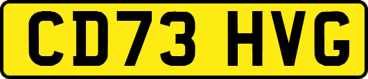 CD73HVG