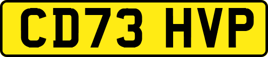 CD73HVP