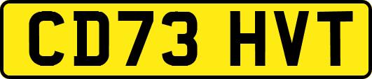 CD73HVT