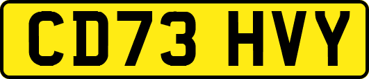 CD73HVY