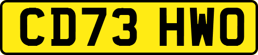 CD73HWO