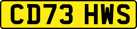 CD73HWS