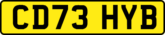 CD73HYB