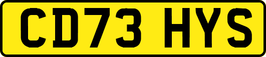 CD73HYS