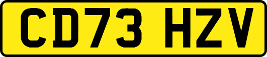 CD73HZV