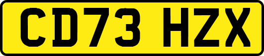CD73HZX