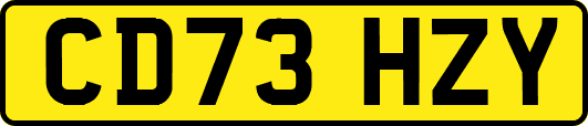 CD73HZY