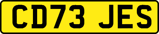CD73JES