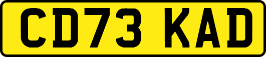 CD73KAD