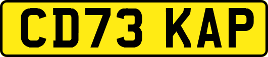 CD73KAP