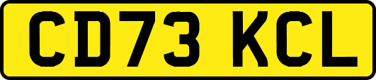 CD73KCL