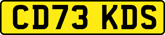 CD73KDS
