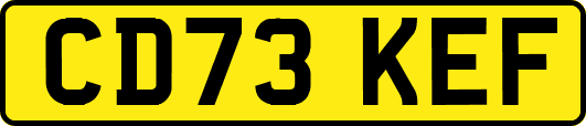 CD73KEF
